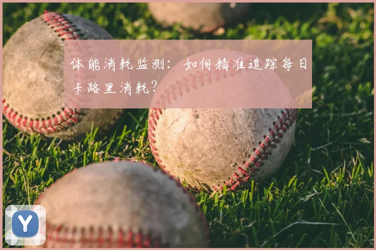 体能消耗监测：如何精准追踪每日卡路里消耗？